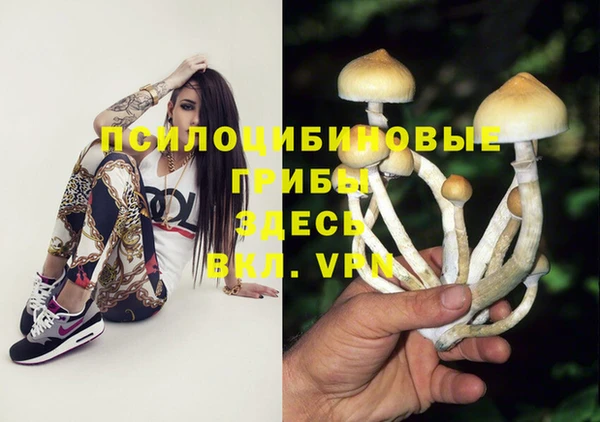 соль ск Горняк