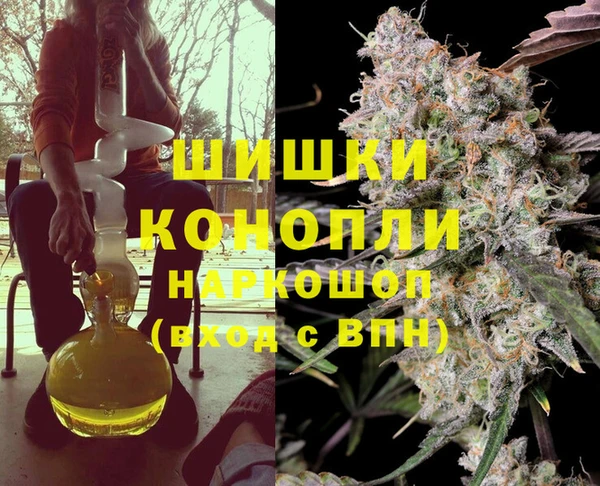 шишки Вязьма