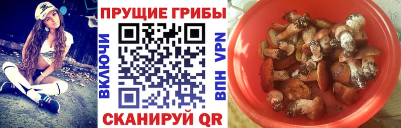 Купить  Луховицы  Галлюциногенные грибы прущие грибы 