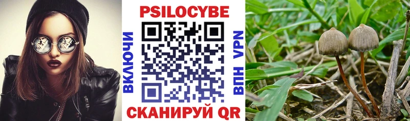 Галлюциногенные грибы ЛСД Луховицы